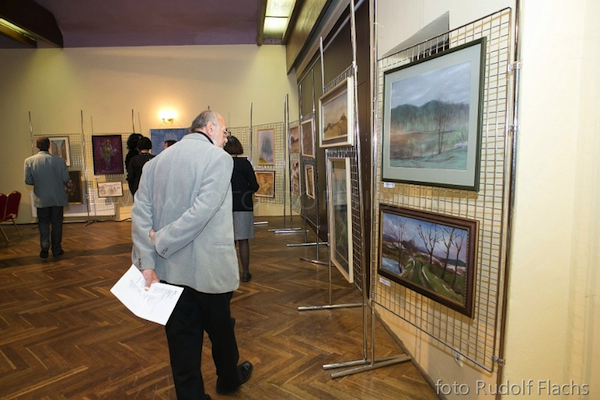 Výstava v Říčanech 2012